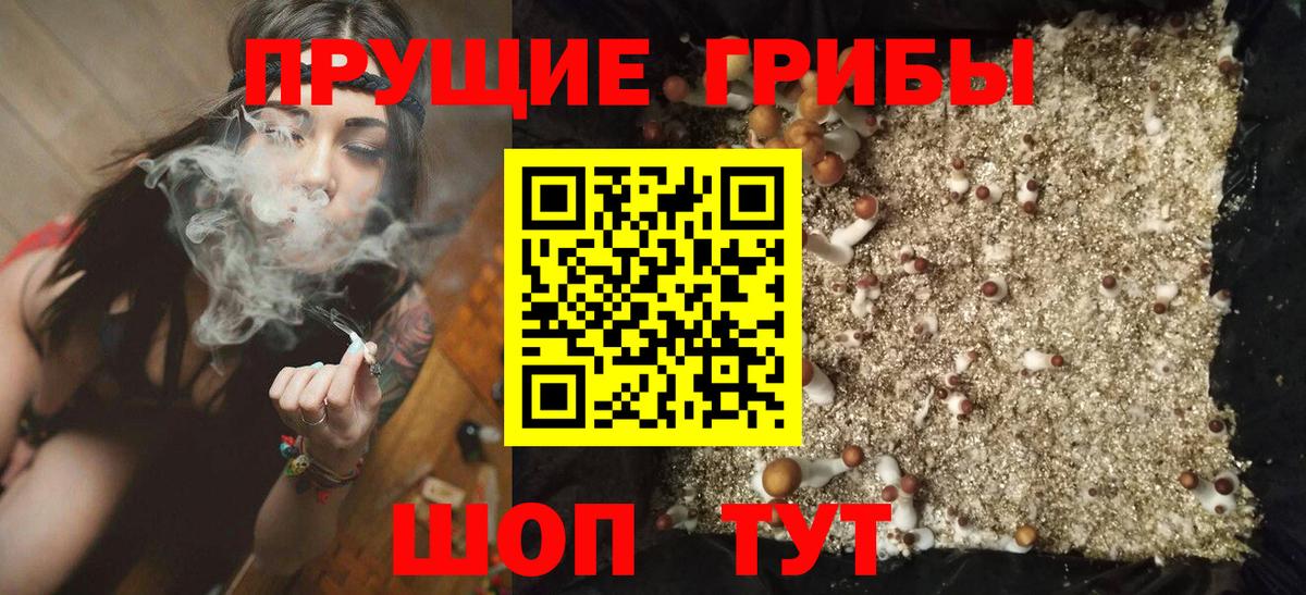Псилоцибиновые грибы мицелий Кулебаки