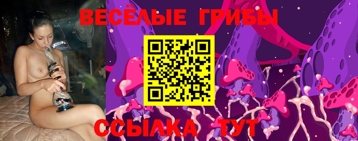 Псилоцибиновые грибы прущие грибы  магазин продажи   Галлюциногенные грибы мицелий  Кулебаки  Вход с VPN 